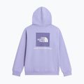 Felpa bambini The North Face Evolution Box NSE Pullover Hoodies pale plum 8