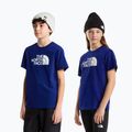 Maglietta per bambini The North Face Evolution Half Dome SS Tee bold blue 3