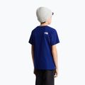Maglietta per bambini The North Face Evolution Half Dome SS Tee bold blue 5