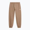 Pantaloni da donna The North Face Evolution Simple Dome Regular garnet 4