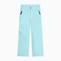 Pantaloni da sci da donna The North Face Descendit Regular glacier
