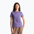Maglietta da donna The North Face Evolution Simple Dome Slim SS grounded plum
