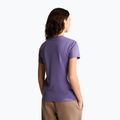Maglietta da donna The North Face Evolution Simple Dome Slim SS grounded plum 3
