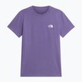 Maglietta da donna The North Face Evolution Simple Dome Slim SS grounded plum 4