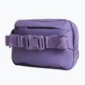 Marsupio cintura The North Face Terra Lumbar 1 l grounded plum/endless 3