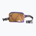 Marsupio cintura The North Face Terra Lumbar 1 l utility brown/peak purple