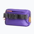 Marsupio cintura The North Face Terra Lumbar 1 l utility brown/peak purple 3
