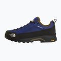 Scarpe da avvicinamento uomo The North Face Verto Alpine GTX bold blue/caraway seed