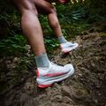 Scarpe da corsa uomo Altra Olympus 275 Hilo vaporous gray/fiery coral 6