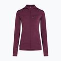 Felpa da trekking donna Icebreaker Merino 300 Realfleece Descender Zip Hoodie dark berry 11