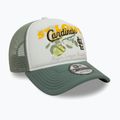 Cappello da baseball New Era Fruit Graphics Trucker ST. St. Louis Cardinals verde pastello