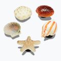 Crocs Jibbitz™ She Sells Seashells spilla 5 pezzi.