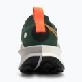 Scarpe da corsa da uomo Nike Zegama 2 fir/desert ochre/college grey/sail 6