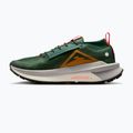 Scarpe da corsa da uomo Nike Zegama 2 fir/desert ochre/college grey/sail 2