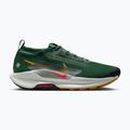 Scarpe da corsa da uomo Nike Pegasus Trail 5 GORE-TEX abete/bright crimson/verde argilla