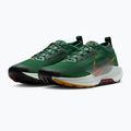 Scarpe da corsa da uomo Nike Pegasus Trail 5 GORE-TEX abete/bright crimson/verde argilla 5