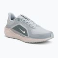 Scarpe da running uomo Nike Pegasus 41 GTX light pumice/pure platinum/silt red/metal silver