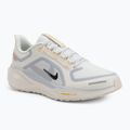 Scarpe da corsa uomo Nike Pegasus 41 GTX sail/football grey/sundial/ashen slate