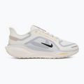 Scarpe da corsa uomo Nike Pegasus 41 GTX sail/football grey/sundial/ashen slate 2