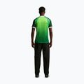 Maglietta da calcio da uomo Nike Nigeria 2026 Stadium Home pine green/electric green/white 3