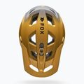 Casco da ciclismo Fox Racing Speedframe Pro Backfade bronze 5