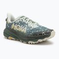 Scarpe da corsa da uomo HOKA Speedgoat 6 GTX sea flass/fern