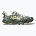 Scarpe da corsa da uomo HOKA Speedgoat 6 GTX sea flass/fern 2