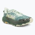 Scarpe da corsa da uomo HOKA Speedgoat 6 GTX sa glass/fern