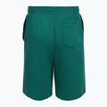 Pantaloncini da allenamento uomo Under Armour Rival LW rack green/black 4
