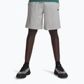 Pantaloncini da allenamento da uomo Under Armour Rival LW mod gray light heather/black