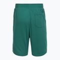 Pantaloncini da allenamento uomo Under Armour Rival LW Graphic rack green/black 6