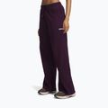 Pantaloni da allenamento da donna Under Armour Performance Fleece Pants purple echo/purple echo