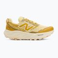 Scarpe da corsa da uomo New Balance Fresh Foam Hierro V9 winter grass 2