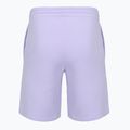 Pantaloncini da uomo New Balance Fleece Shorts 9" daybreak 2
