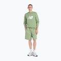 Maglietta da uomo New Balance Graphic V Flying oregano 2