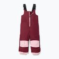 Set da sci per bambini Columbia Buga IIi Set satin pink/rich wine 3