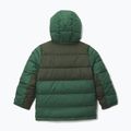 Giacca imbottita per bambini Columbia Pike Lake II Hooded Rain Forest/Greenscape 2