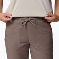 Pantaloni da trekking uomo Columbia ROC Ripstop Jogger Iron 5