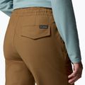 Pantaloni da trekking uomo Columbia ROC Ripstop Jogger delta 6