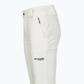 Pantaloni da sci donna Columbia Roffee Ridge VI sea salt 11