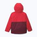 Giacca da sci per bambini Columbia Alpine Action III Rich Wine melange/mountain red 2