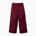 Pantaloni da sci per bambini Columbia Starchaser Peak III Rich Wine 6