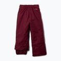 Pantaloni da sci per bambini Columbia Starchaser Peak III Rich Wine 7