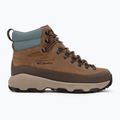 Scarpe da uomo Columbia Newton Alpine PT light brown/metal 2