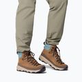 Scarpe da uomo Columbia Newton Alpine PT light brown/metal 8