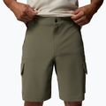 Pantaloncini da trekking da uomo Columbia Silver Ridge Elite stone green 5