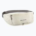 Cintura da corsa Salomon Pulse Sling icicle / castlerock