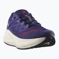 Scarpe da corsa da uomo Salomon Aero Glide 3 Gravel astral aura/vanilla ice/haute red 8