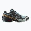 Scarpe da corsa da uomo Salomon Speedcross 6 GTX trooper/black/wood thrush 9