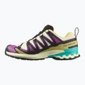 Scarpe da corsa da uomo Salomon XA PRO 3D V9 GTX giallo trasparente/nero/cascata 9